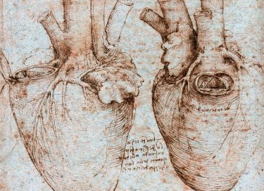 Picture of human heart by Leonardo da Vinci for article by Dr Fiona Williams on Heart-centred Medicine