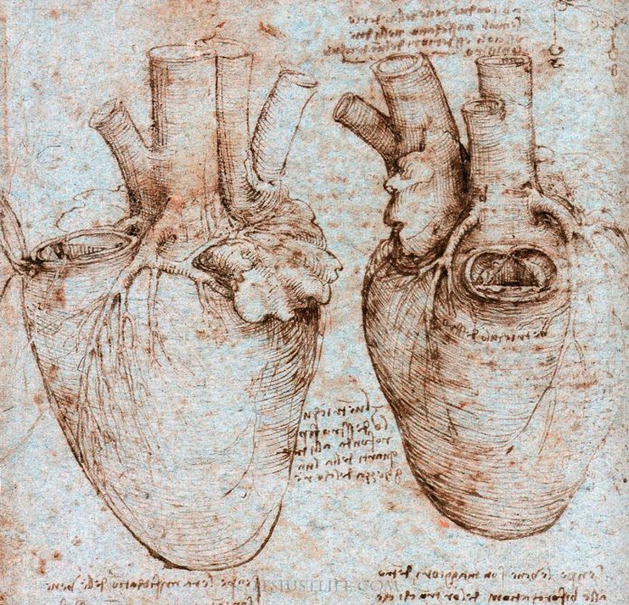 Picture of human heart by Leonardo da Vinci for article by Dr Fiona Williams on Heart-centred Medicine