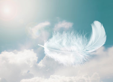 feather floating in sky for article on breath by Dr Anne Malatt