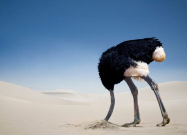 Ostrich,Burying,Head,In,The,Sand,,Tsavo,East,National,Park, for article on Wilful Blindness by Dr Anne Malatt